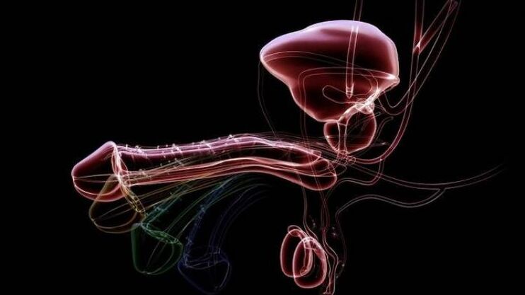 Because secretions appear when men are excited and it is normal